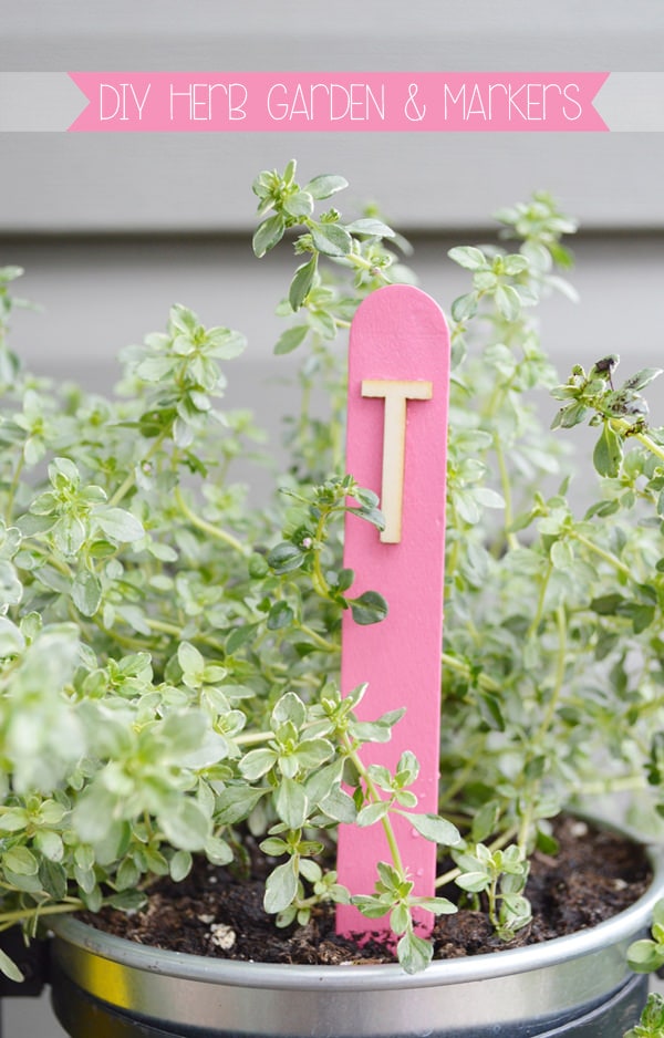 DIY Herb Garden & Markers from MomAdvice.com