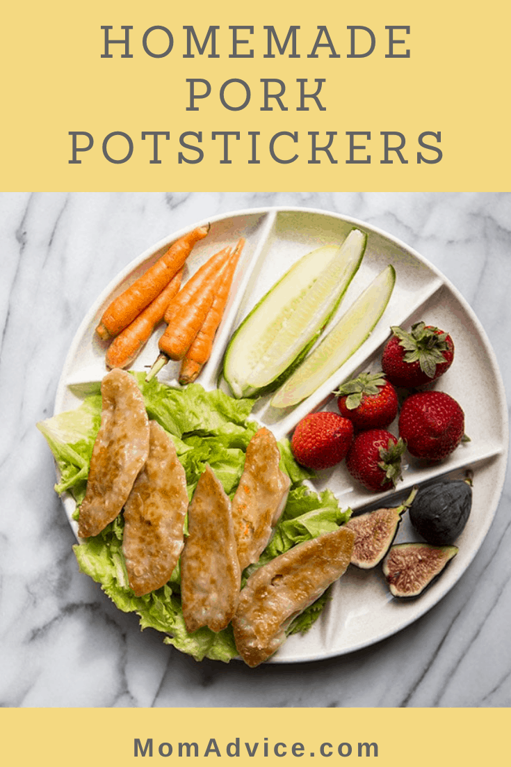 Homemade Pork Potstickers from MomAdvice.com