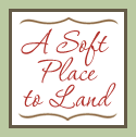 Guest Blogging Today at, “A Soft Place To Land”