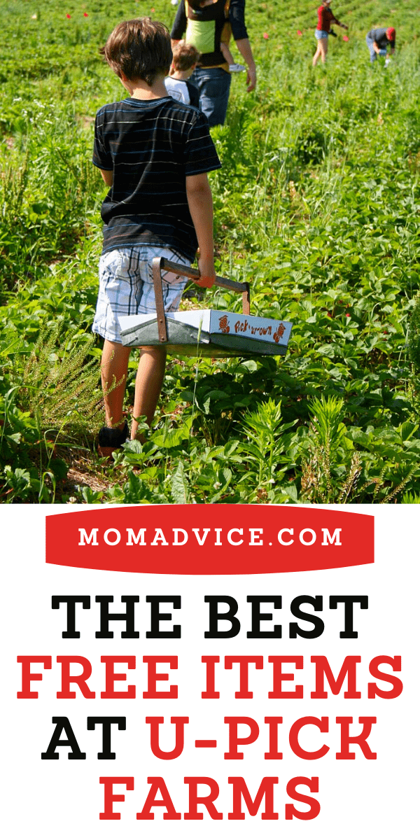 The Best Free Items at U-Pick Farms from MomAdvice.com