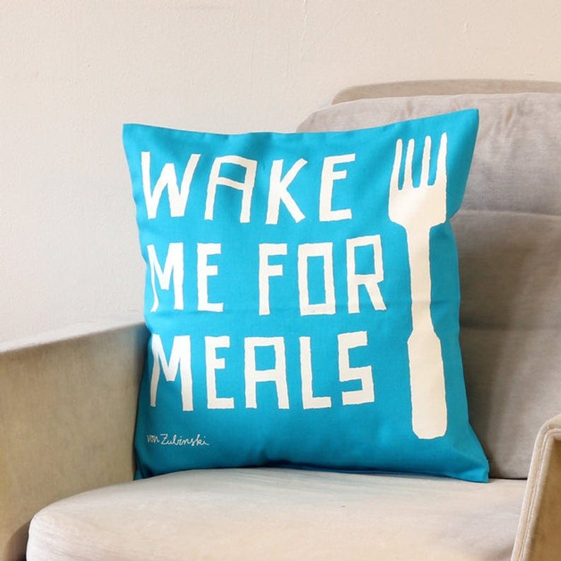 wake me for meals pillow