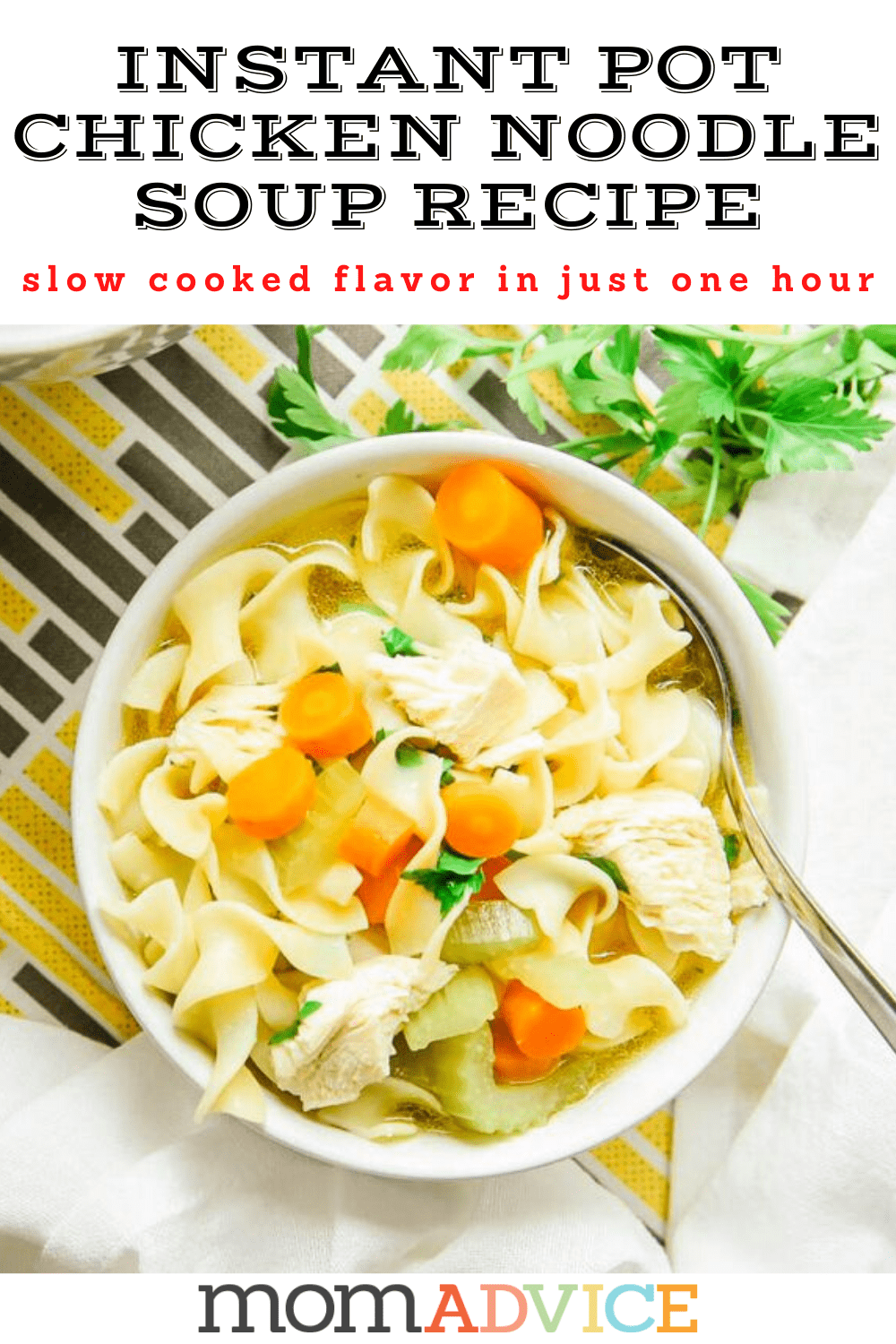 Instant Pot Chicken Noodle Soup - MomAdvice